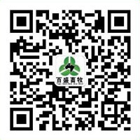 微信咨詢
